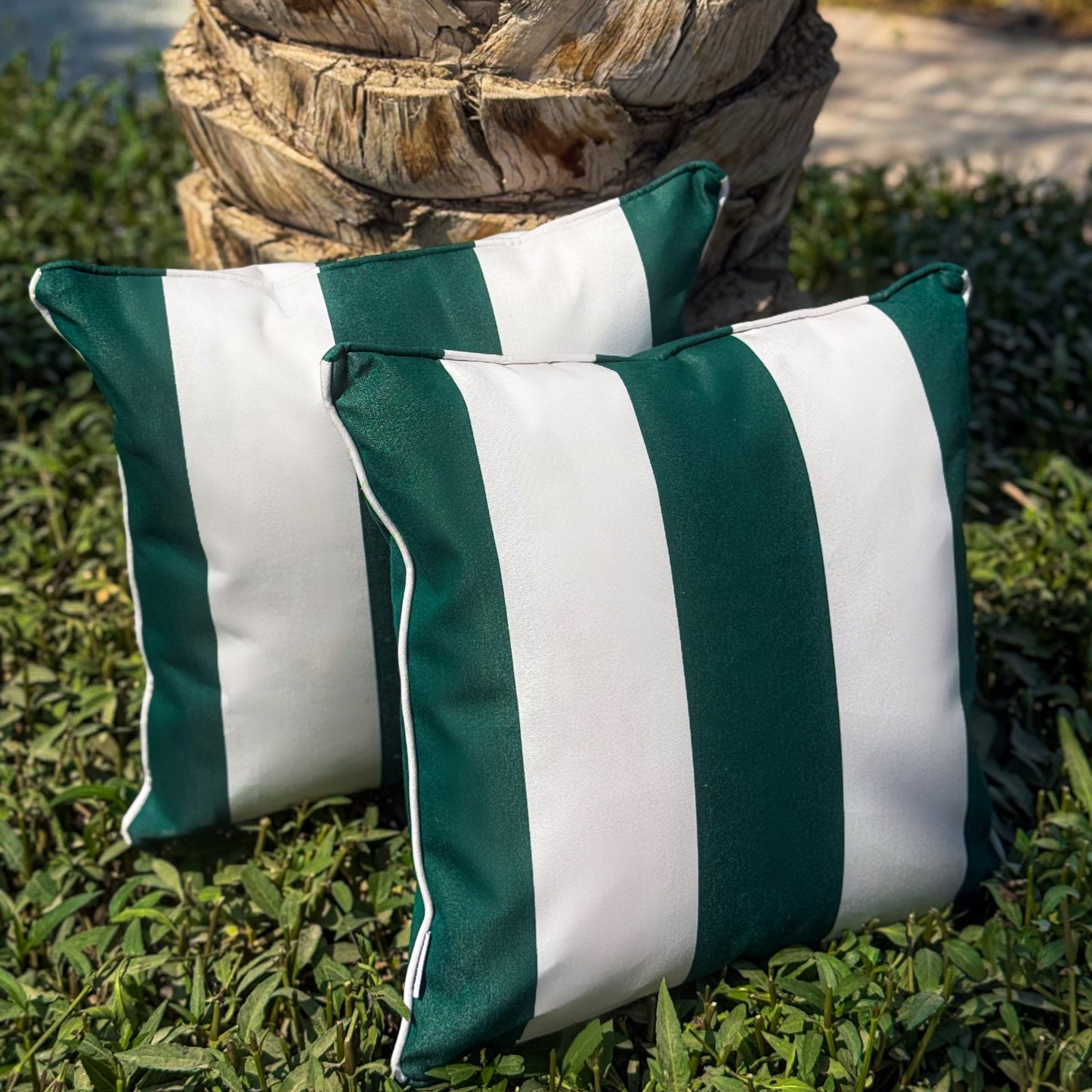 Verde Stripe 45 (2 Piece Set)